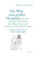 Cover: Die Welt, &raquo;ein gro&szlig;es Hospital&laquo; - Wallstein