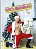 Cover: Pink Christmas 11 - Himmelst&uuml;rmer