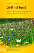 Cover: Gott ist bunt - Pustet, F