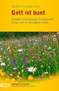 Cover: Gott ist bunt - Pustet, F