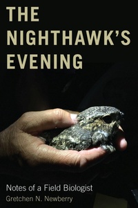 Abbildung von: The Nighthawk's Evening - Oregon State University