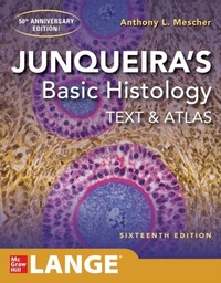 Abbildung von: Junqueira's Basic Histology: Text and Atlas, Sixteenth Edition - McGraw Hill LLC