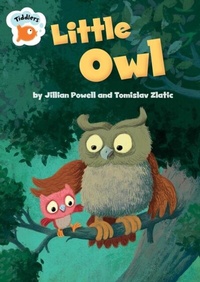 Enlarge image Cover: Little Owl - Franklin Watts