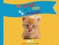 Cover: The Kittens and Cats Behavior Part 2 - Kitten Puppy Kids Press