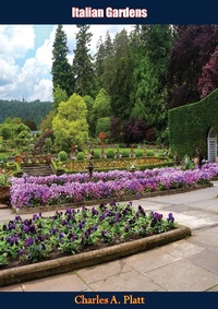 Abbildung von: Italian Gardens - Barakaldo Books