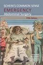 Cover: Schein's Common Sense Emergency Abdominal Surgery 2020 - TFM Publishing Ltd