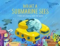 Cover: What a Submarine Sees - Welbeck Children's Books