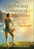 Cover: The Gullwing Odyssey - Darkwater Media Group, Inc.