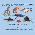 Cover: Do You Know What I Am? - Diamond and Halo Publishing, LLC