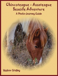 Abbildung von: Chincoteague-Assateague Seaside Adventure - YC Press