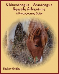 Abbildung von: Chincoteague-Assateague Seaside Adventure - YC Press