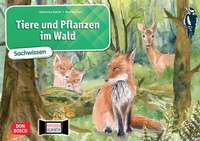 Abbildung von: Tiere und Pflanzen im Wald. Kamishibai Bildkartenset - Don Bosco Medien