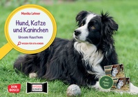 Abbildung von: Hund, Katze und Kaninchen. Unsere Haustiere. Kamishibai Bildkarten und Memo-Spiel - Don Bosco Medien