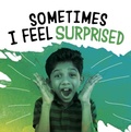 Cover: Sometimes I Feel Surprised - Raintree