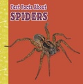 Cover: Fast Facts About Spiders - Raintree
