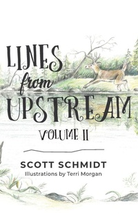 Enlarge image Cover: Lines from Upstream - TEN16 Press