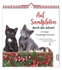 Cover: Auf Samtpfoten durch den Advent - St. Benno