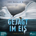 Cover: Gejagt im Eis - steinbach sprechende b&uuml;cher