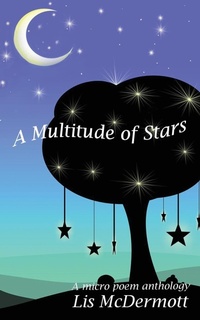 Enlarge image Cover: A Multitude of Stars - Pen & Ink Designs
