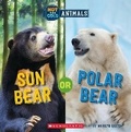 Cover: Sun Bear or Polar Bear (Wild World: Hot and Cold Animals) - Scholastic US