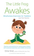 Cover: Little Frog Awakes - Shambhala Publications Inc