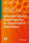 Cover: Nanomaterials and Nanocomposites for Environmental Remediation - Springer