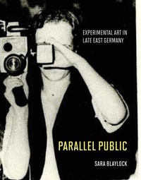 Enlarge image Cover: Parallel Public - MIT Press