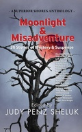 Cover: Moonlight & Misadventure: 20 Stories of Mystery & Suspense - Superior Shores Press