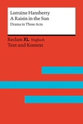 Cover: A Raisin in the Sun - Reclam