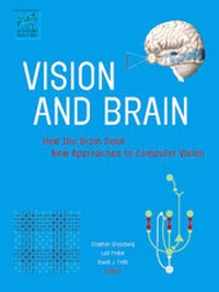 Enlarge image Cover: Vision and Brain - Elsevier