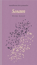 Cover: Sesam - Mandelbaum Verlag eG