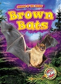 Cover: Brown Bats - Bellwether Media