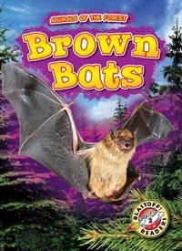Enlarge image Cover: Brown Bats - Bellwether Media
