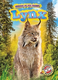 Enlarge image Cover: Lynx - Bellwether Media