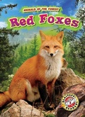 Cover: Red Foxes - Bellwether Media