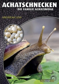 Abbildung von: Achatschnecken - Natur und Tier