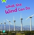Cover: Bug Club Phonics - Phase 5 Unit 16: What the Wind Can Do - Pearson Education Limited