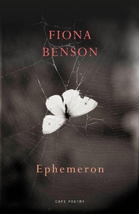 Enlarge image Cover: Ephemeron - Vintage Digital