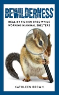 Cover: Bewilderness - Bay Company Books, Inc.