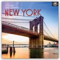 Abbildung von: New York 2022 - 16-Monatskalender - Brown Trout-Auslieferer Flechsig