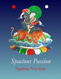 Cover: Spacious Passion 2021 - Aro Books Worldwide