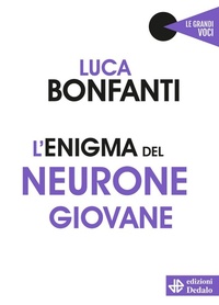 Abbildung von: L' enigma del neurone giovane - Le grandi voci;edizioni Dedalo