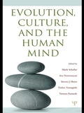 Cover: Evolution, Culture, and the Human Mind - Psychology Press Ltd