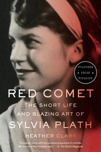 Abbildung von: Red Comet - Vintage Books
