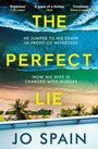 Cover: The Perfect Lie - Quercus Publishing