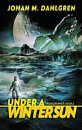Cover: Under A Winter Sun - Next Chapter