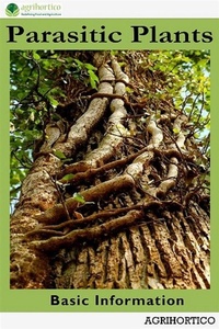 Abbildung von: Parasitic Plants - AGRIHORTICO