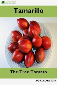Abbildung von: Tamarillo - AGRIHORTICO