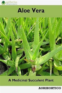 Abbildung von: Aloe Vera - AGRIHORTICO