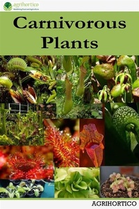 Abbildung von: Carnivorous Plants - AGRIHORTICO
